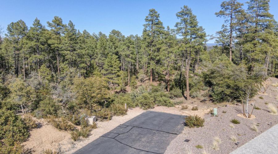 dji_fly_20250311_151610_786_174182156938