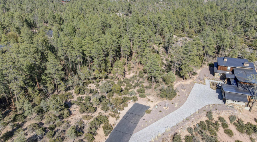 dji_fly_20250311_151650_789_174182154410