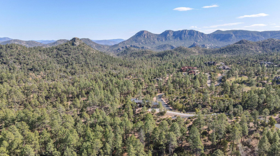 dji_fly_20250311_152010_807_174182152389