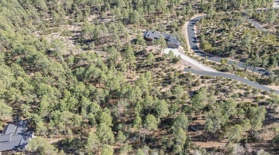 dji_fly_20250311_152048_810_174182152865