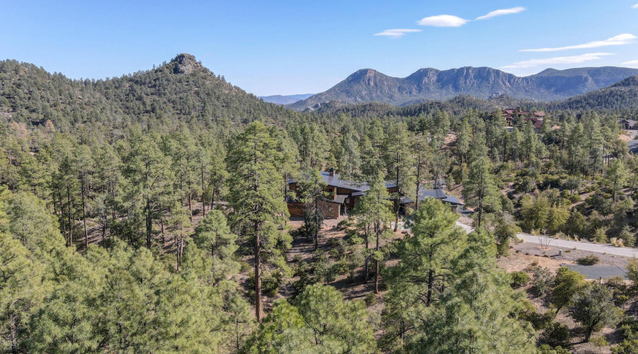 dji_fly_20250311_152258_819_174182151409