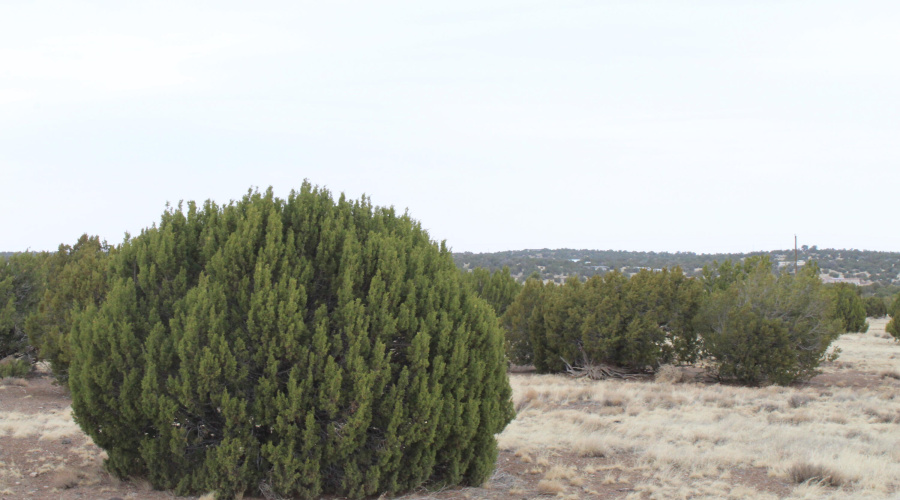 21 23 CR 8004 Fishman (12)