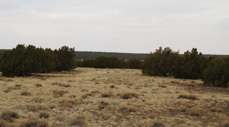 21 23 CR 8004 Fishman (13)