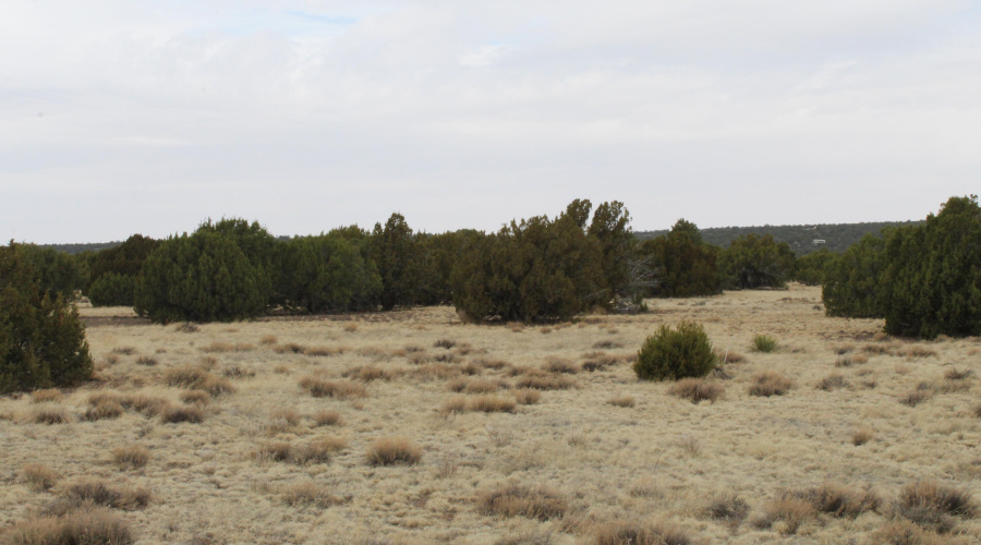 21 23 CR 8004 Fishman (14)