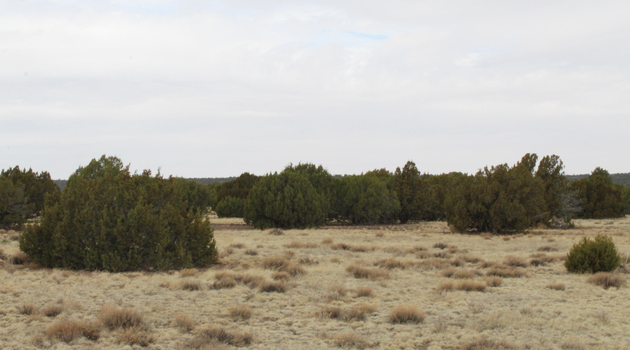 21 23 CR 8004 Fishman (15)