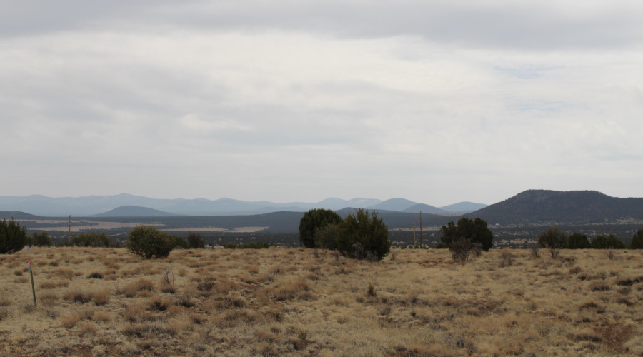 21 23 CR 8004 Fishman (16)