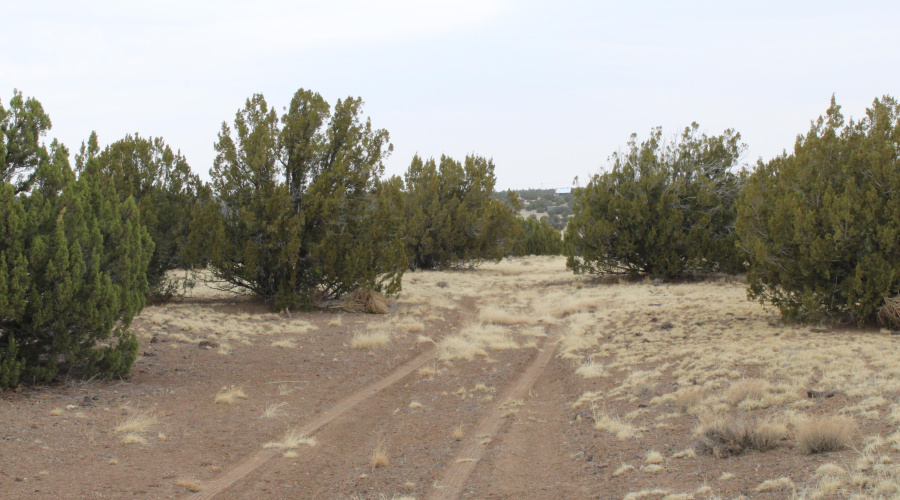 21 23 CR 8004 Fishman (17)