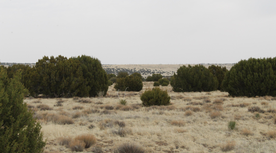 21 23 CR 8004 Fishman (20)