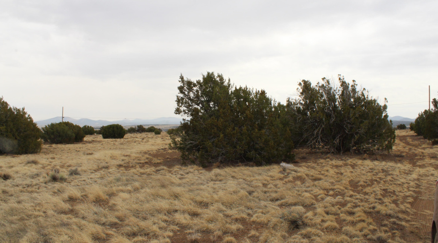 21 23 CR 8004 Fishman (21)