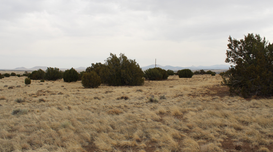 21 23 CR 8004 Fishman (22)