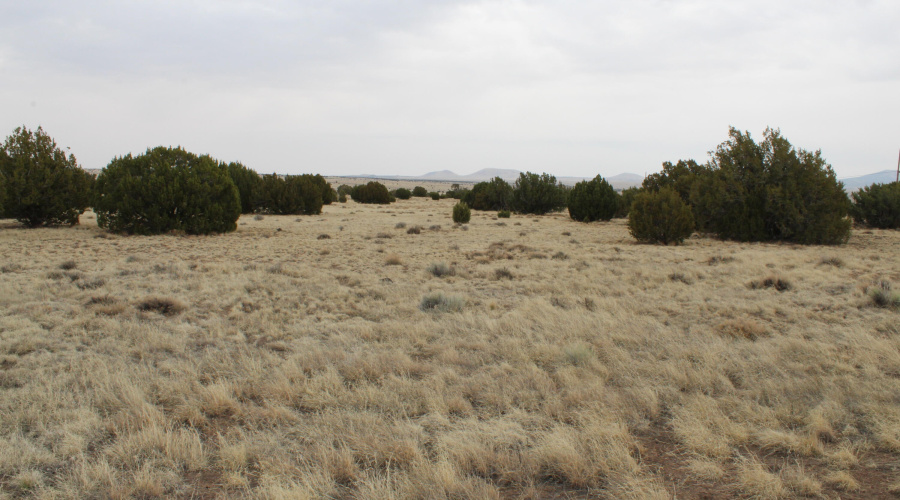 21 23 CR 8004 Fishman (23)