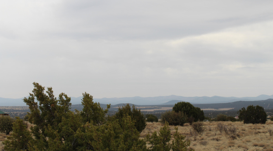 21 23 CR 8004 Fishman (5)