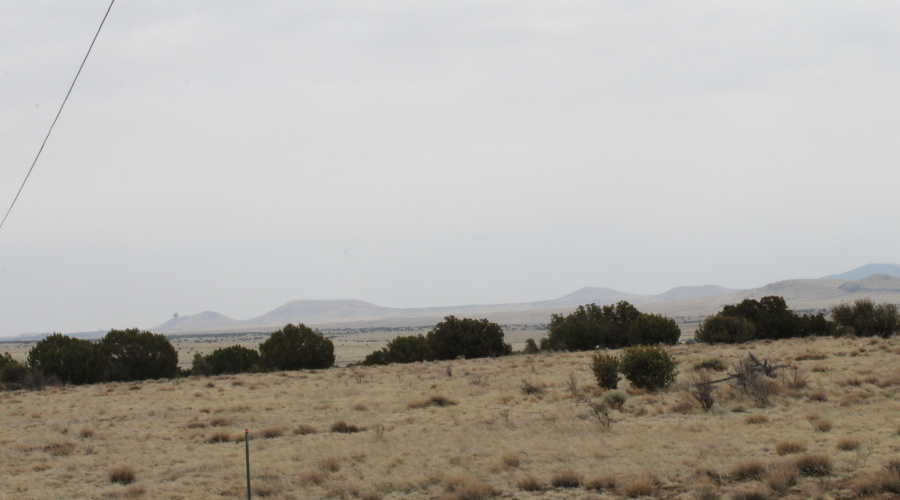 21 23 CR 8004 Fishman (7)