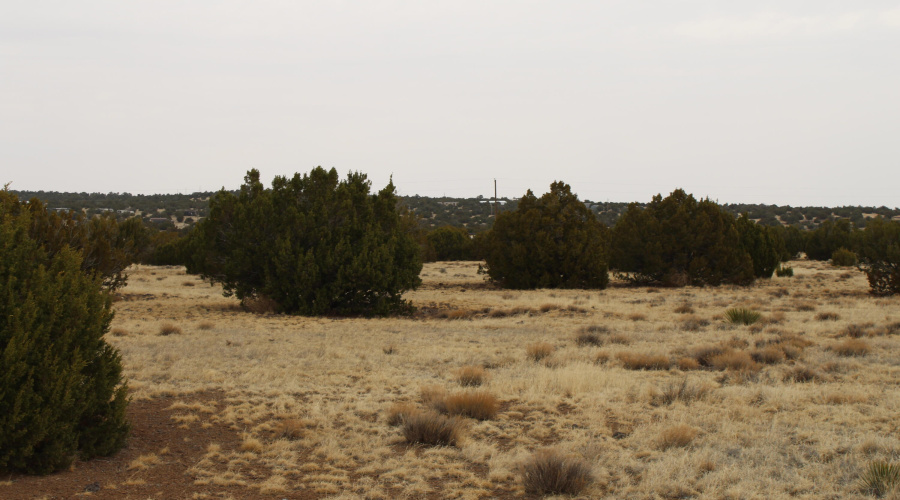 21 23 CR 8004 Fishman (8)