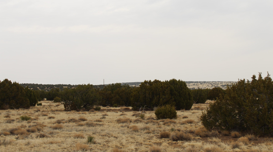 21 23 CR 8004 Fishman (9)