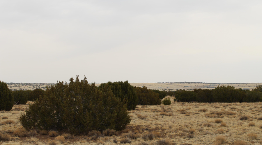 21 23 CR 8004 Fishman (10)