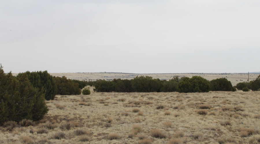 21 23 CR 8004 Fishman (11)