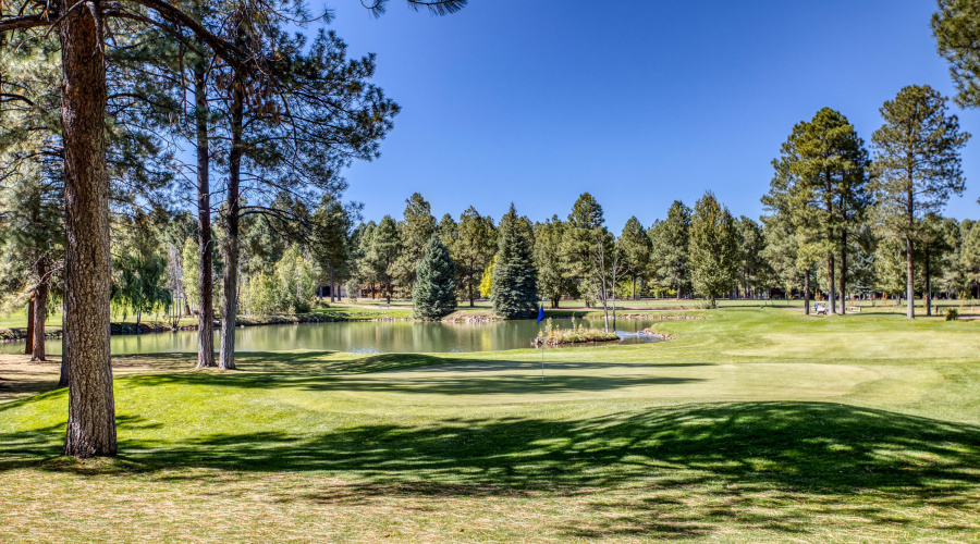 paxmanphotography_PAX_4132