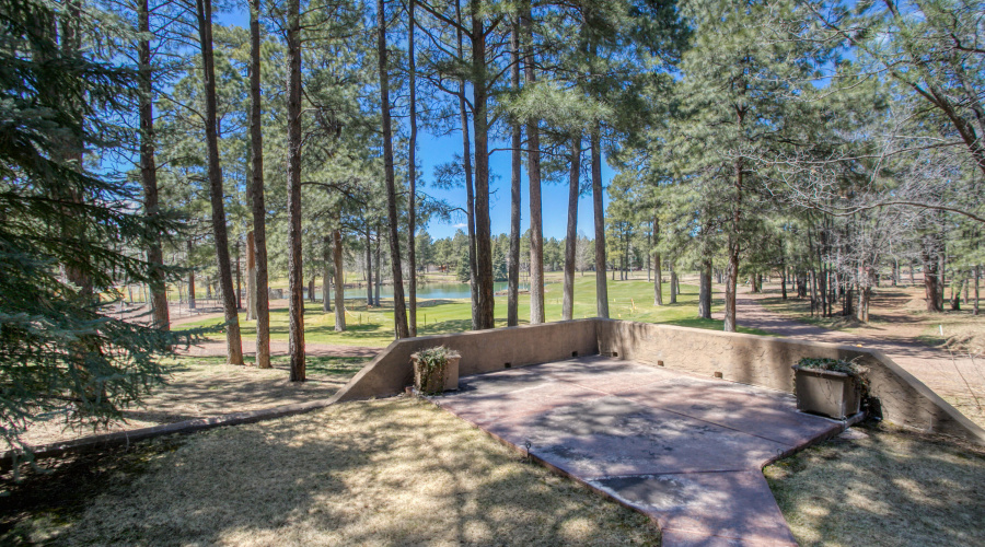 paxmanphotography_IMG_9547