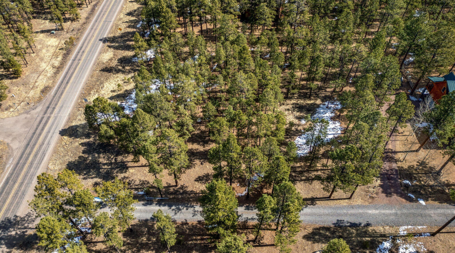 3N1062-Greer-AZ-13