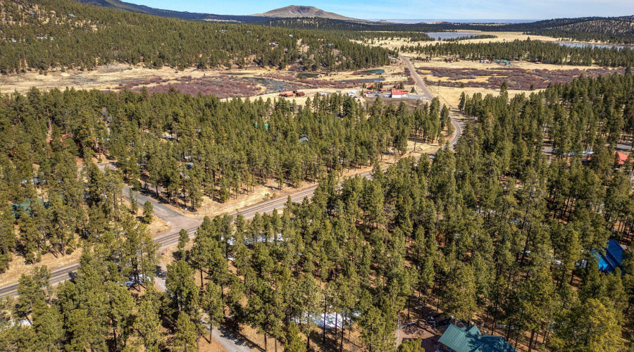 3N1062-Greer-AZ-12