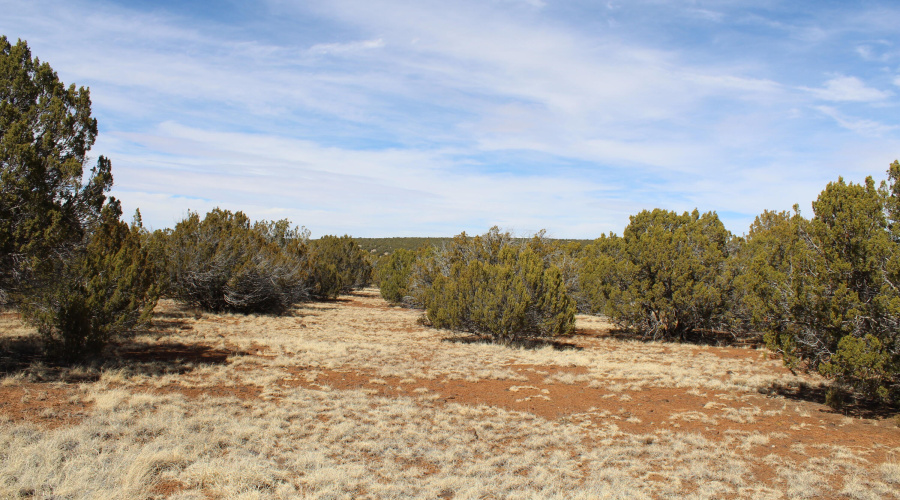 Jason Kempski SL Pines 6 (17)