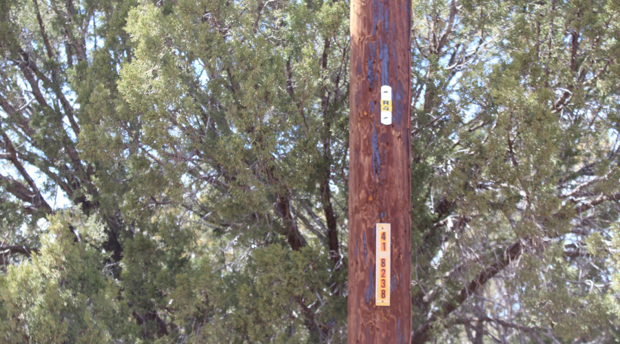 Jason Kempski SL Pines 6 (18)