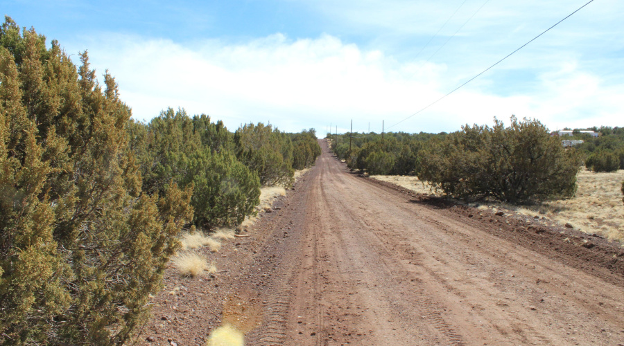 Jason Kempski SL Pines 6 (7)