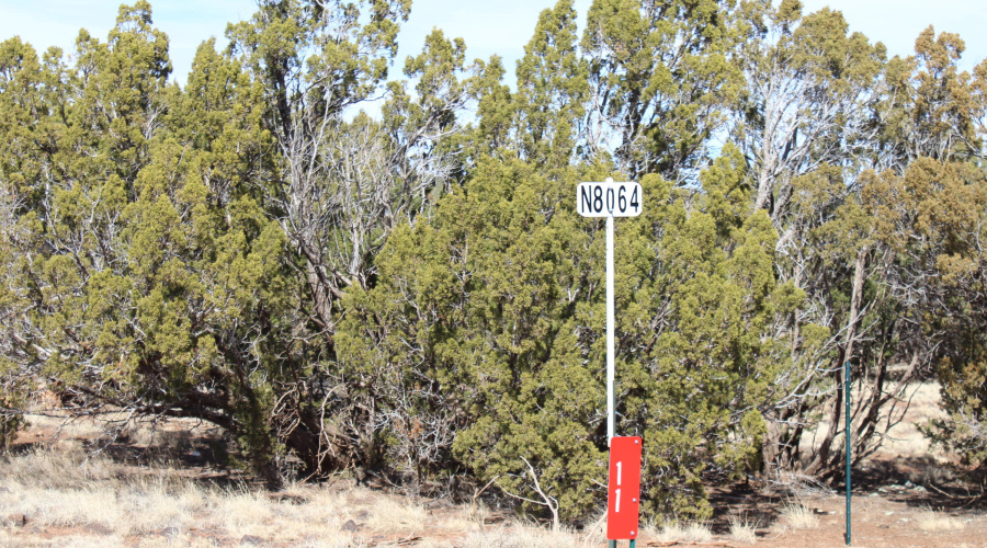 Jason Kempski SL Pines 6 (19)