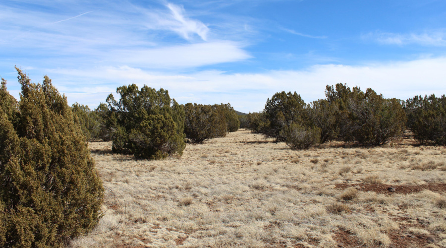 Jason Kempski SL Pines 6 (4)