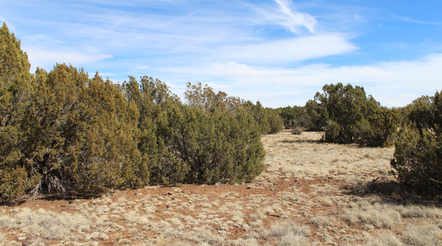 Jason Kempski SL Pines 6 (3)