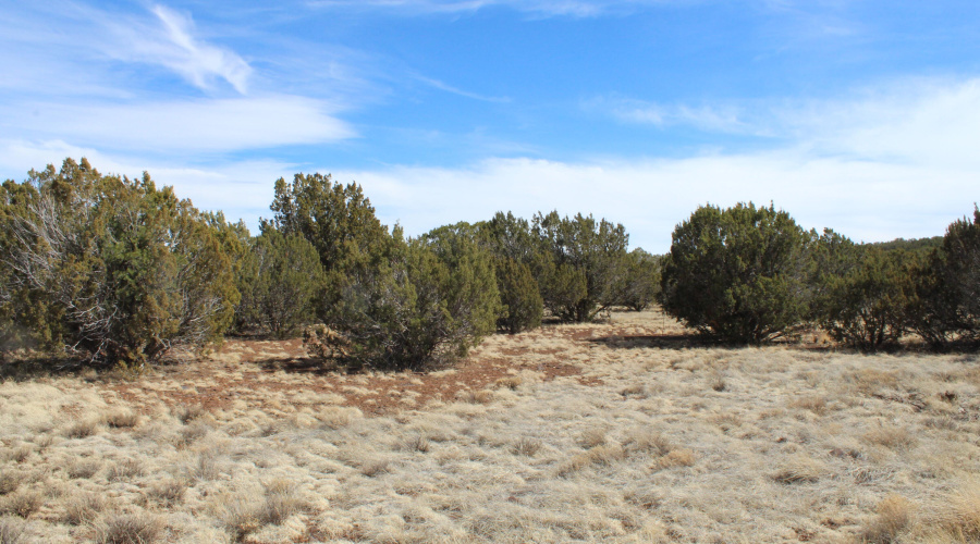 Jason Kempski SL Pines 6 (5)