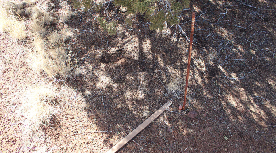 Jason Kempski SL Pines 6 (6)