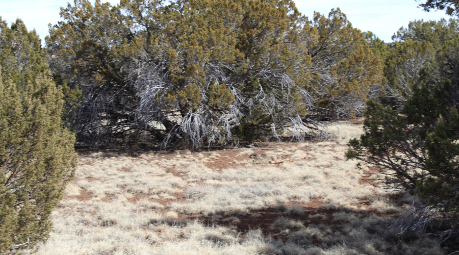 Jason Kempski SL Pines 6 (10)