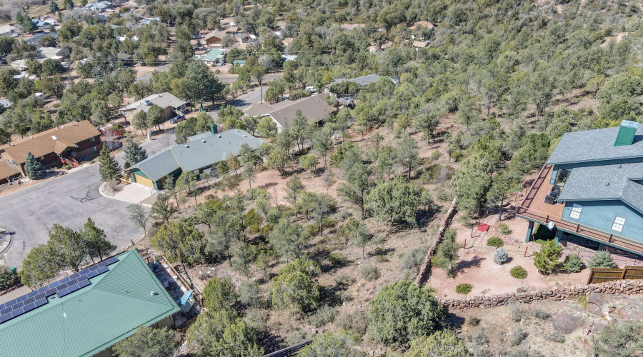 dji_fly_20250320_105054_955_174251436061