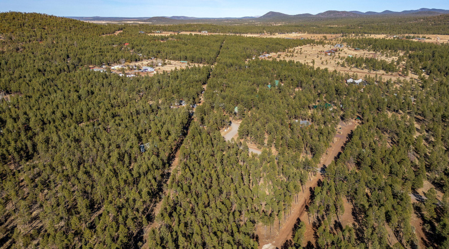 Parcel31111036J-PinetopLakeside-AZ-9