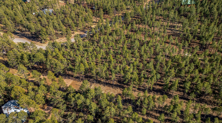 Parcel31111036J-PinetopLakeside-AZ-11