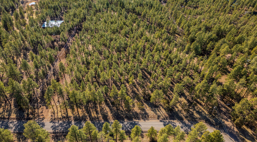 Parcel31111036J-PinetopLakeside-AZ-13