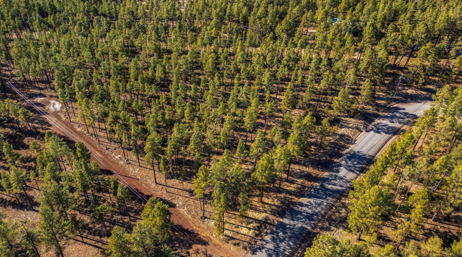 Parcel31111036J-PinetopLakeside-AZ-14