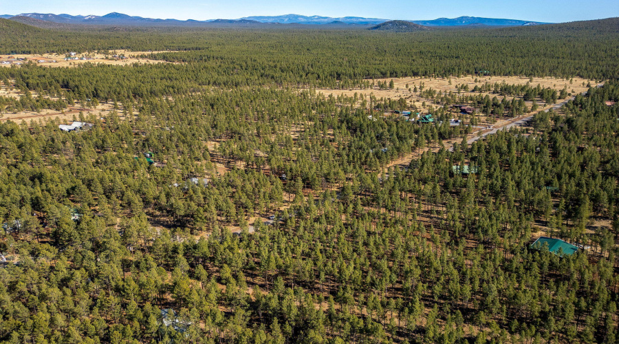 Parcel31111036J-PinetopLakeside-AZ-7