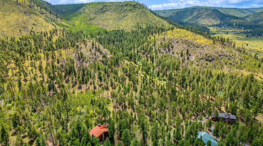 Parcel10257016-Greer-AZ-10