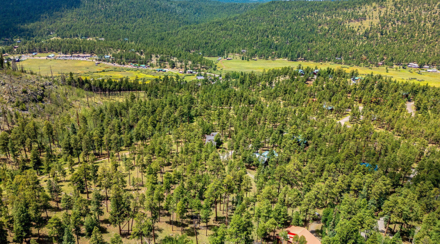 Parcel10257016-Greer-AZ-11