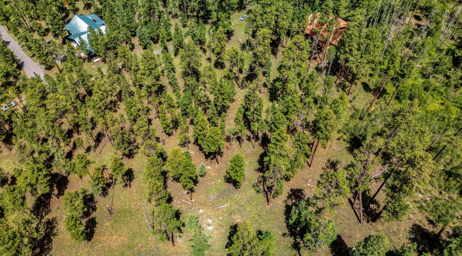 Parcel10257016-Greer-AZ-14