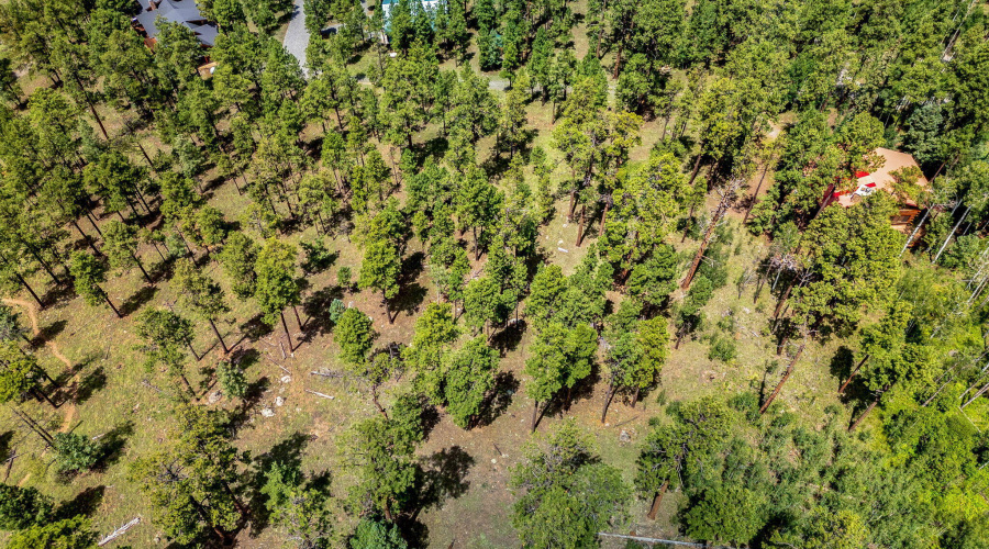 Parcel10257016-Greer-AZ-15