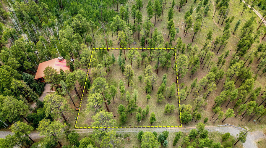 Parcel10257016-Greer-AZ-16