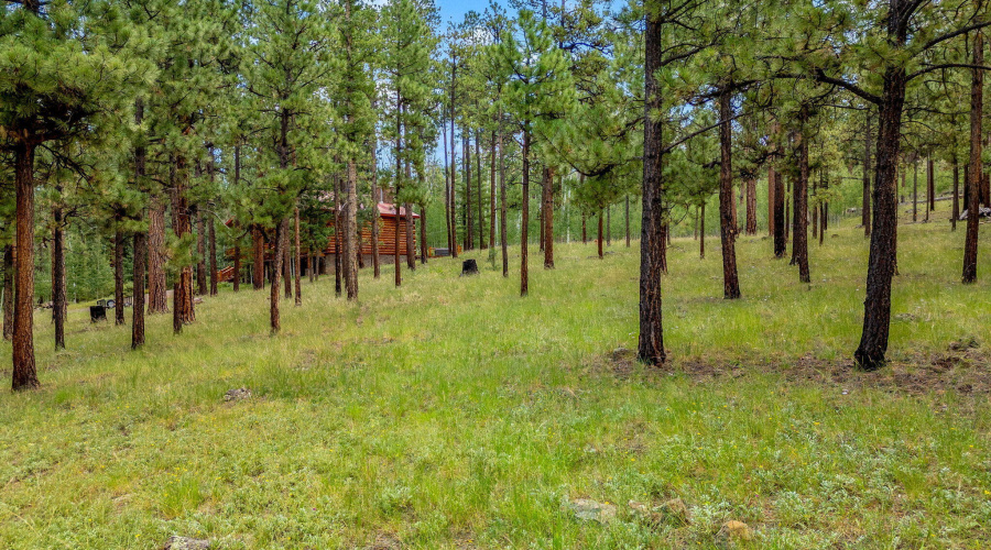 Parcel10257016-Greer-AZ-2