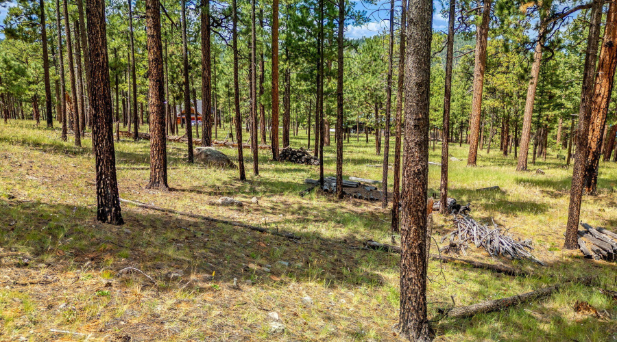 Parcel10257016-Greer-AZ-3