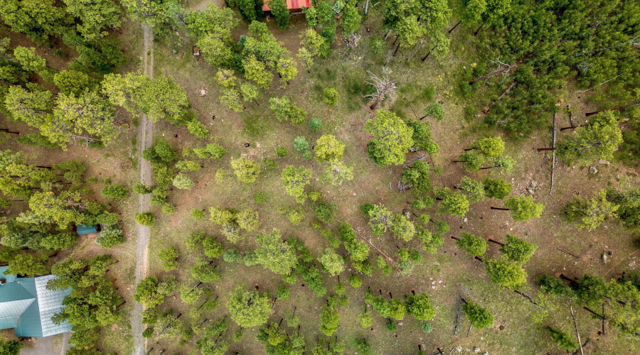 Parcel10257016-Greer-AZ-5