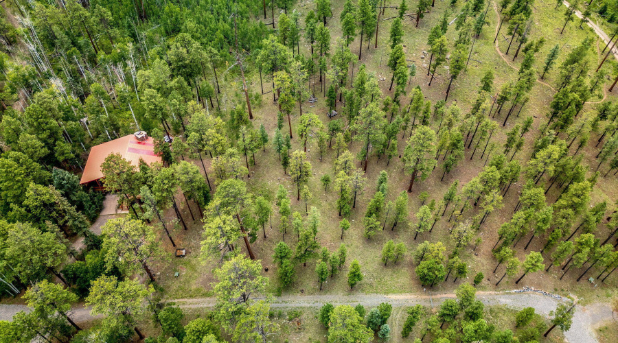 Parcel10257016-Greer-AZ-6