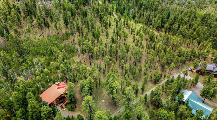 Parcel10257016-Greer-AZ-7